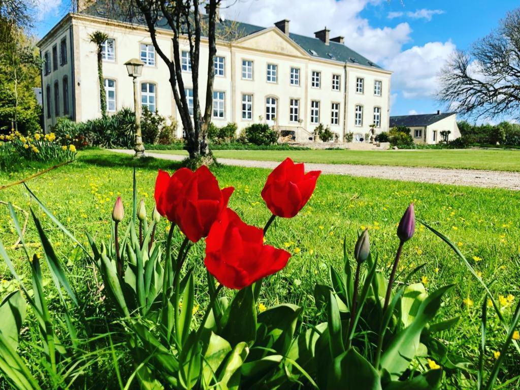 Hotel Du Chateau De Quinéville Zewnętrze zdjęcie